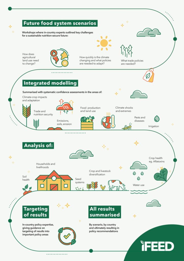 Infographic showing the process of creating iFEED